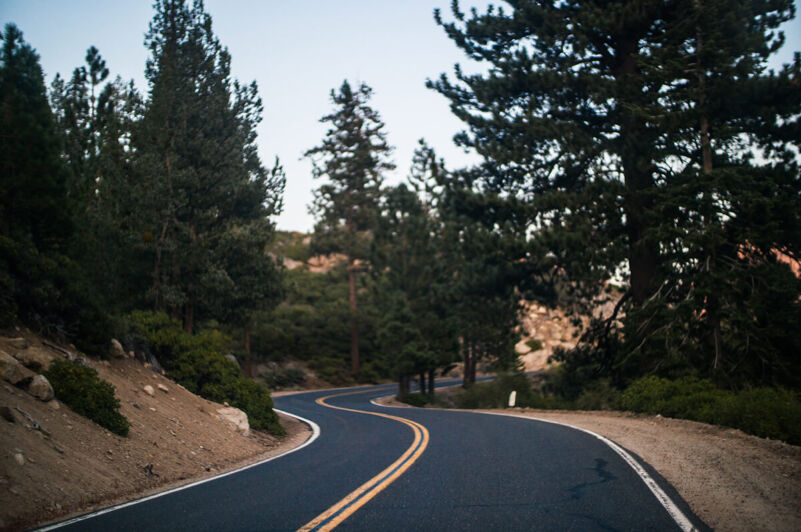 Road through the forest