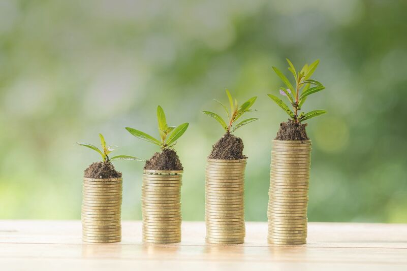 coin-wooden-table-blurred-nature