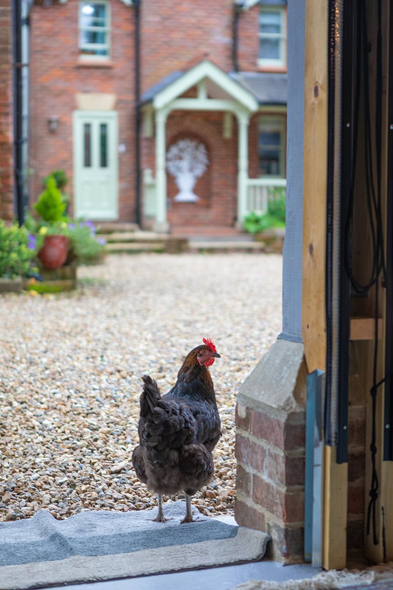 The Management Lab at Foundry Farm